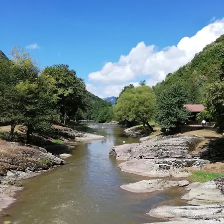 Family Fedora Ribarica