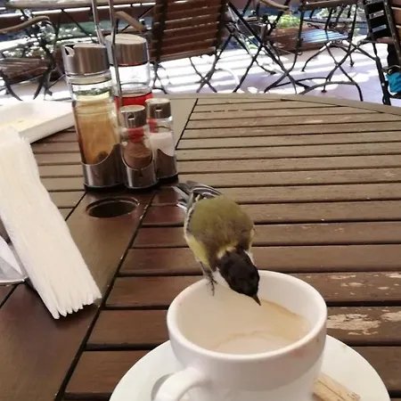 Family Fedora Hotel 2*