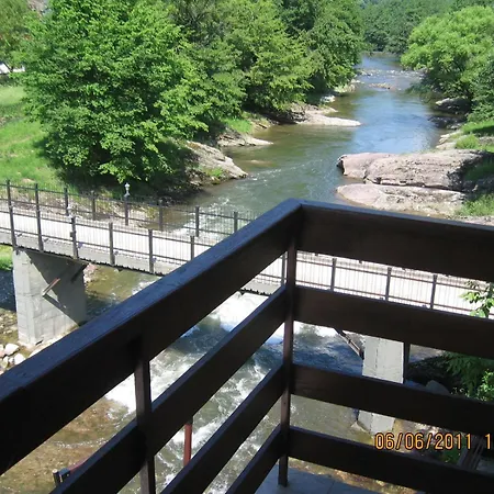 Family Fedora Ribarița