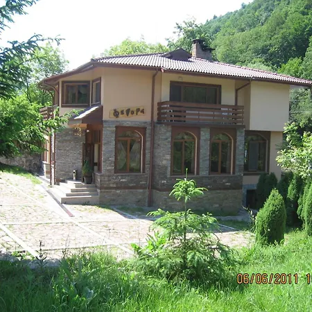 Family Fedora Otel