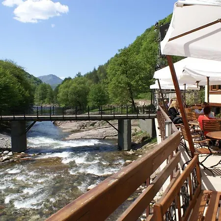 Family Fedora Ribarița