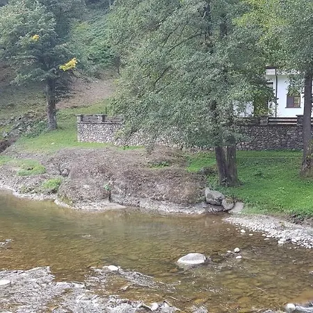 Family Fedora 2* Ribarica