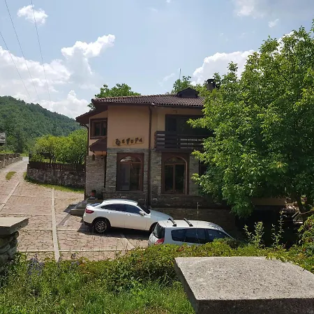 Family Fedora Ribarița