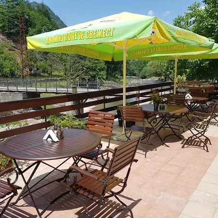 Family Fedora Ribarița